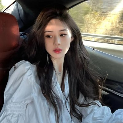 我的宠物是大象