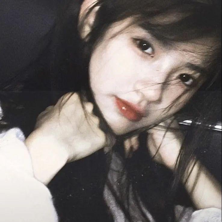 哈吉布基的森林冒险